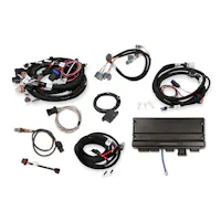 Holley EFI 550-919-B